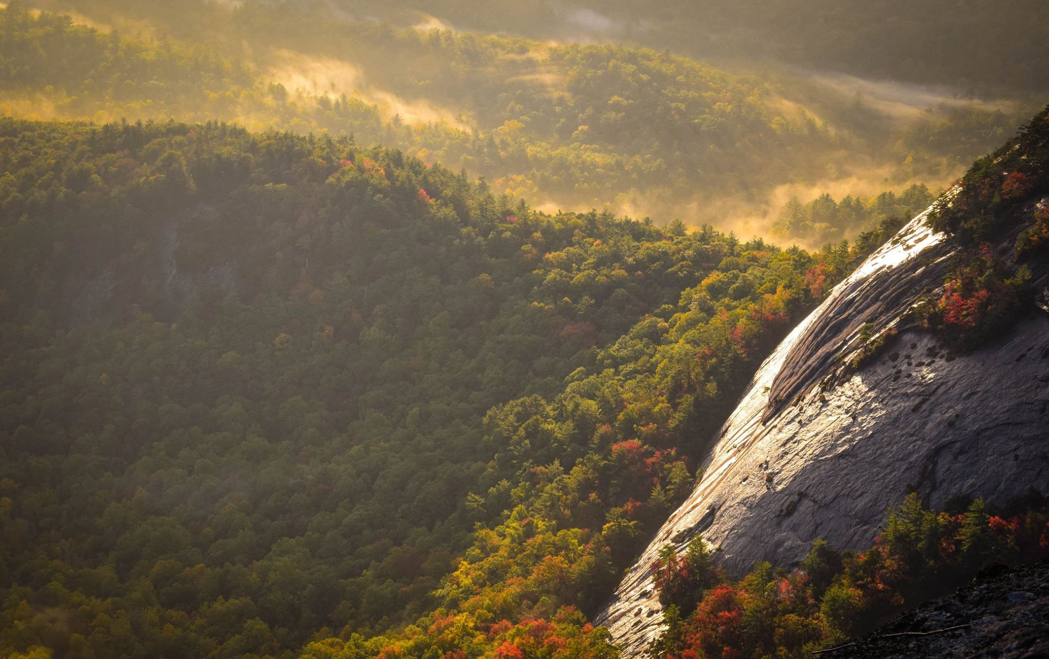 Unser Know-How als Grundlage